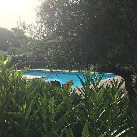 Appt T2 Standing Avec Piscine Et Terrasse Apartment Porto-Vecchio  Exterior photo