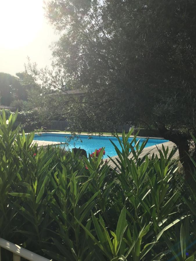 Appt T2 Standing Avec Piscine Et Terrasse Apartment Porto-Vecchio  Exterior photo